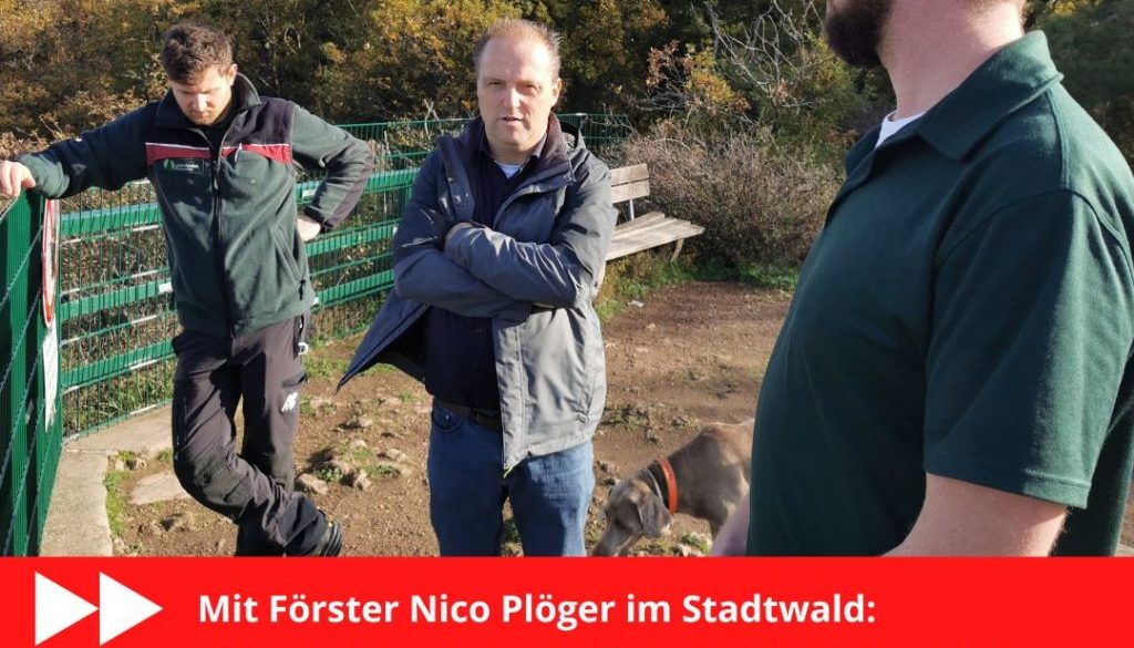 Waldbegehung KH Plöger